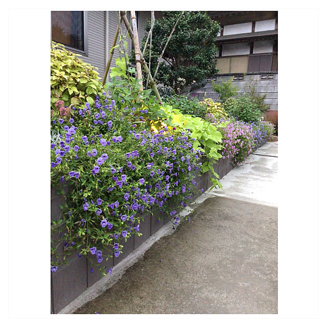 houenさんの部屋