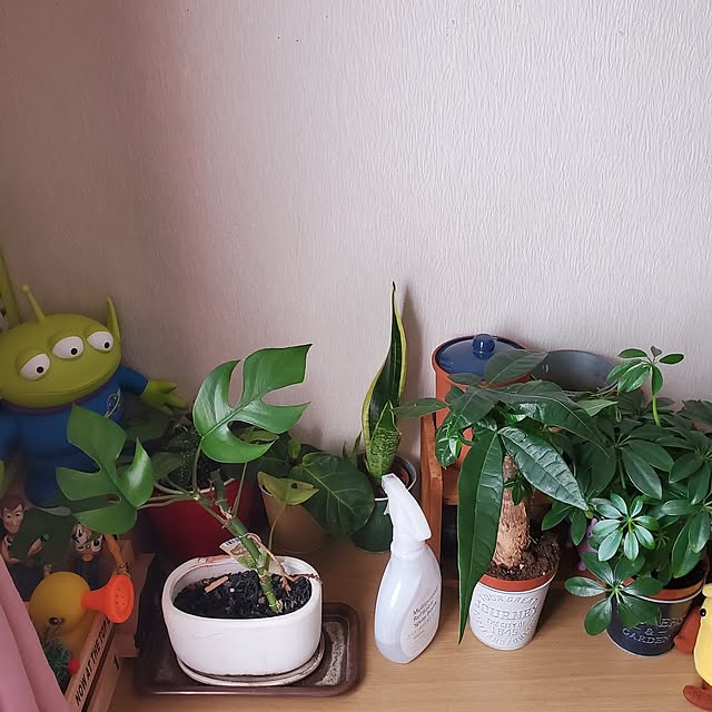 doranekoさんの実例写真