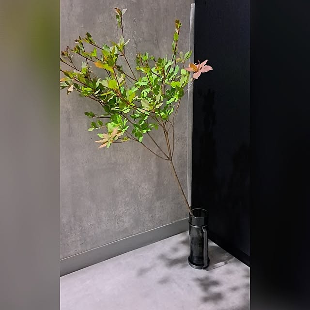 noaさんの部屋