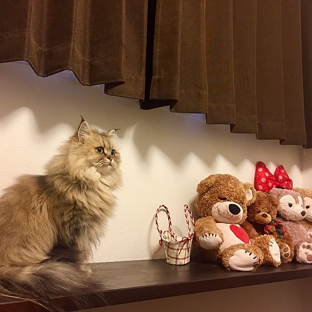 butachanさんの実例写真