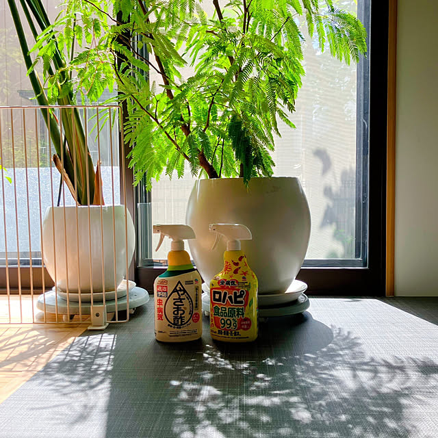 akanekoさんの実例写真