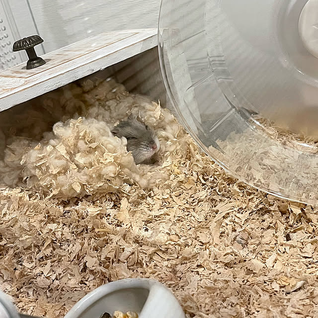 Kurumiさんの実例写真