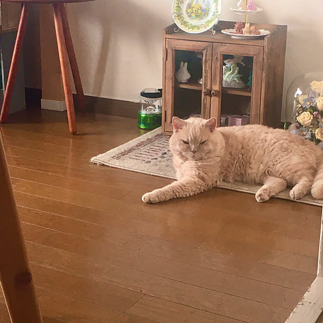 naokoさんの実例写真