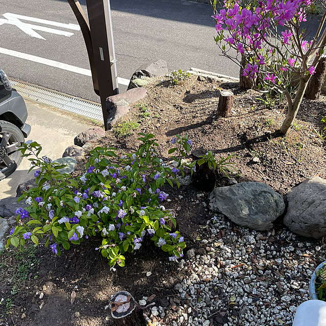 shin0719さんの部屋