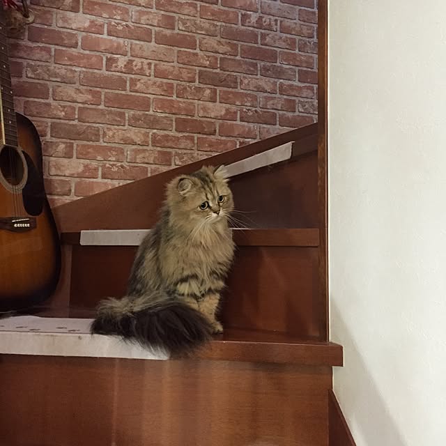 butachanさんの実例写真