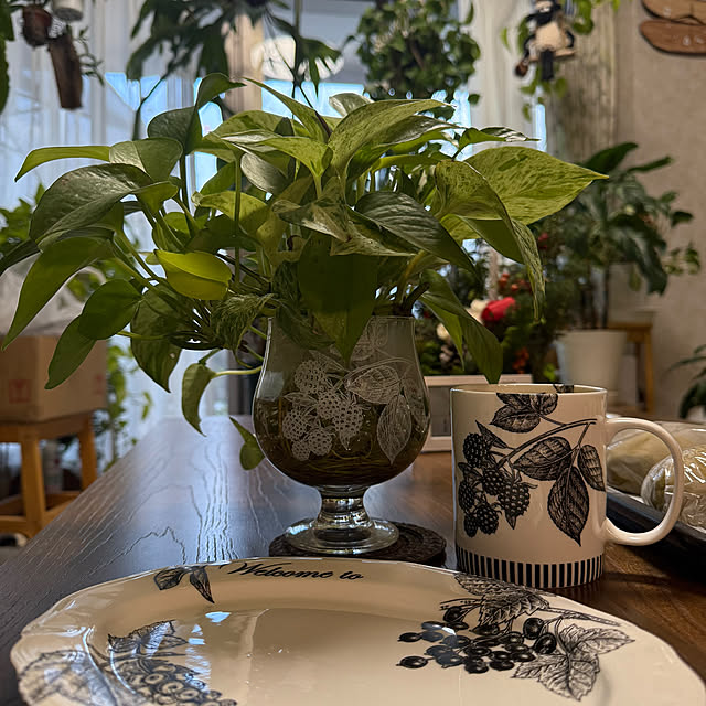 Aqettyさんの部屋