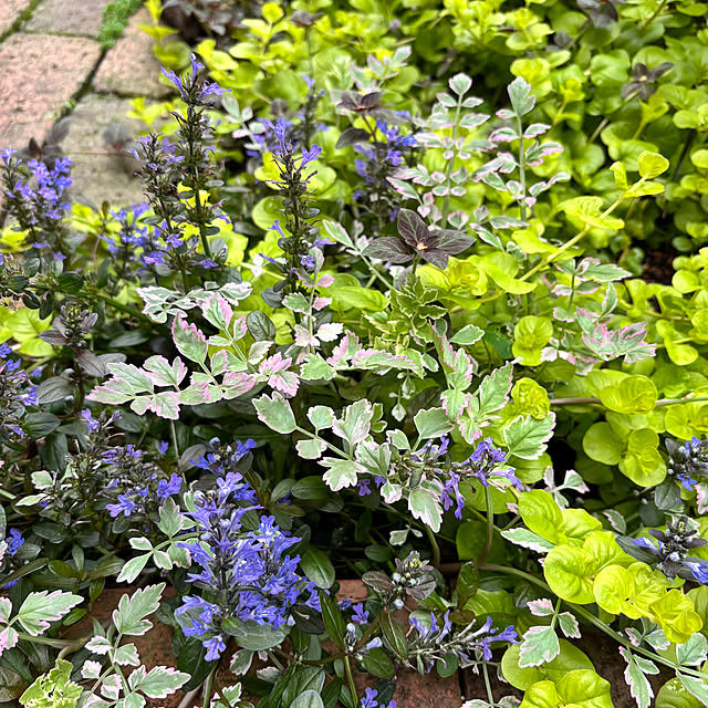 kyoko1124koさんの部屋