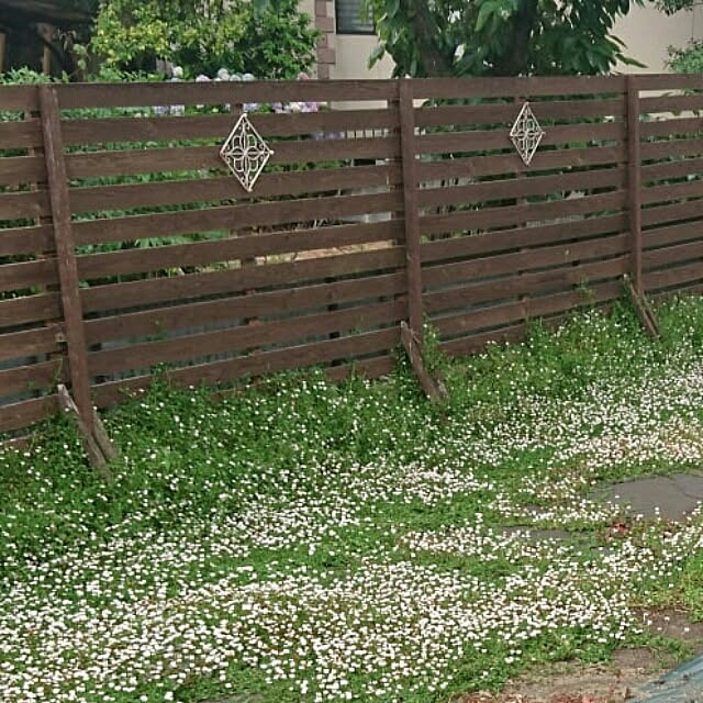 mocamamaさんの実例写真