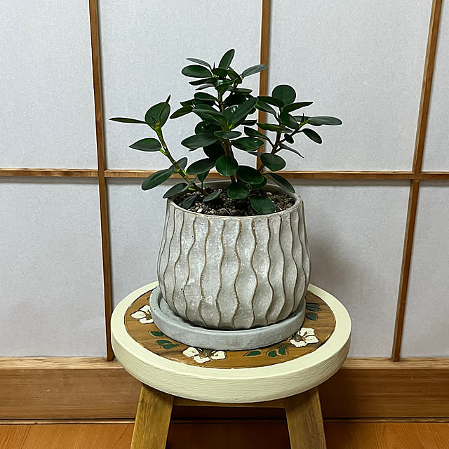 myahanさんの実例写真