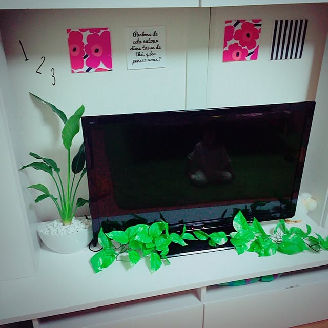 hiyokopanさんの実例写真