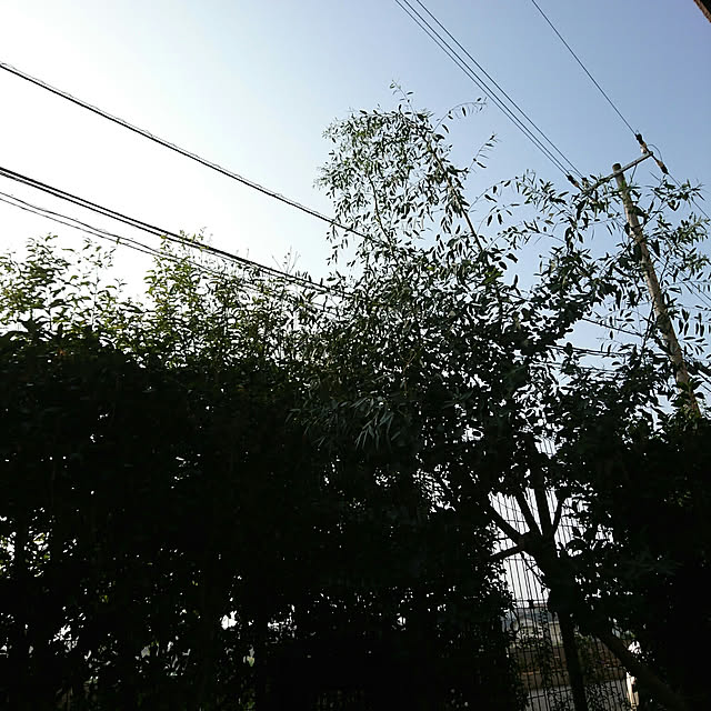 okyosan101さんの実例写真