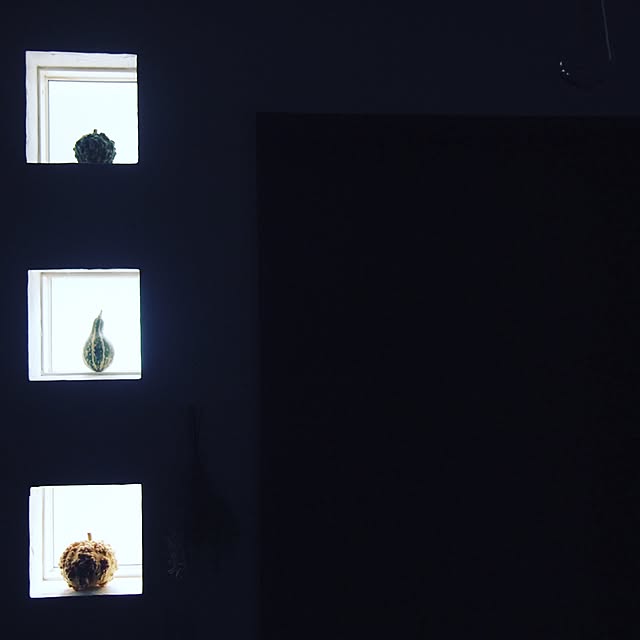 romimushiさんの実例写真