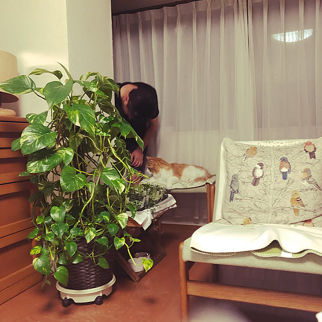 uchidaizuさんの実例写真