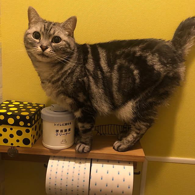 mikomaruさんの実例写真