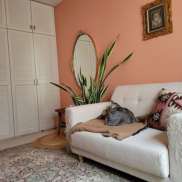 neoさんの実例写真