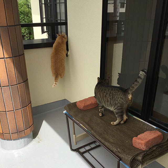 chikaさんの実例写真