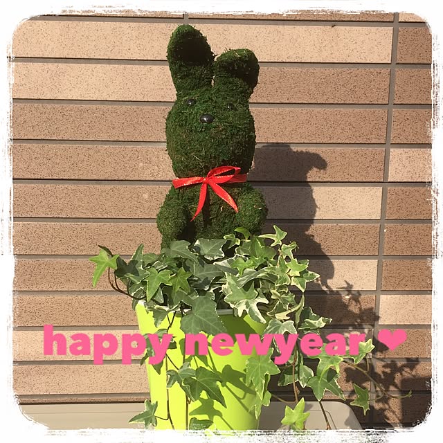 mimさんの実例写真