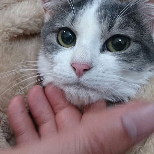 Lukiさんの実例写真