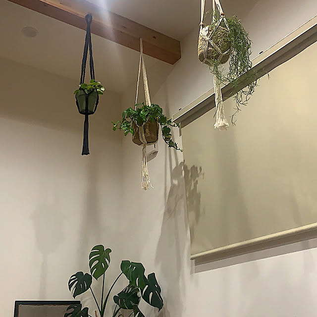sorakuruさんの実例写真