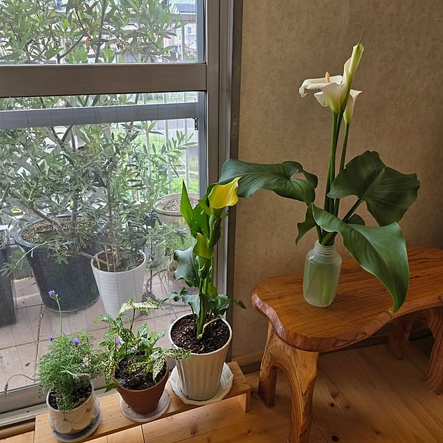 kunyさんの部屋