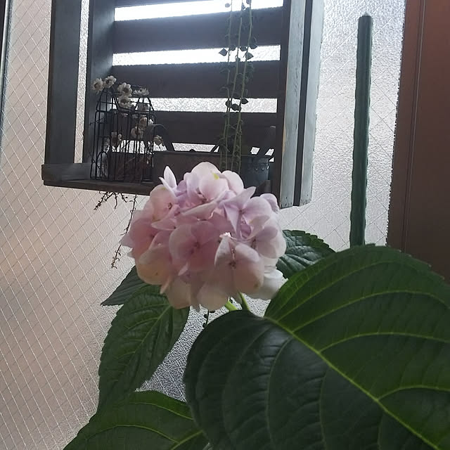 n0516さんの実例写真