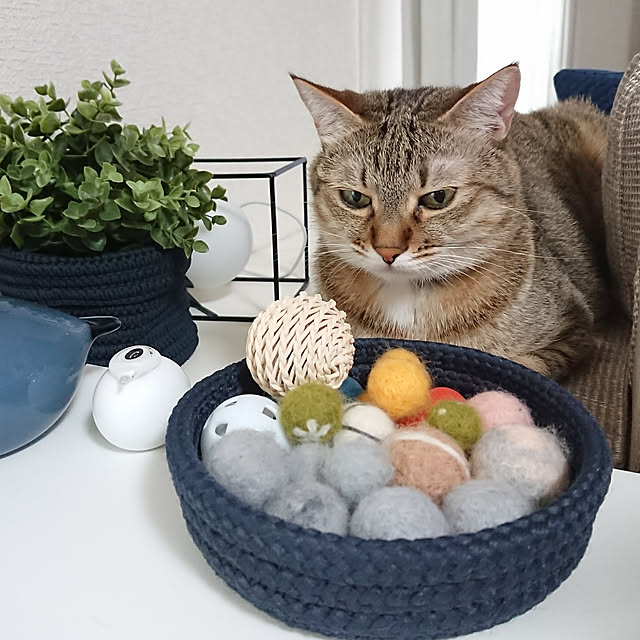 maikyさんの実例写真