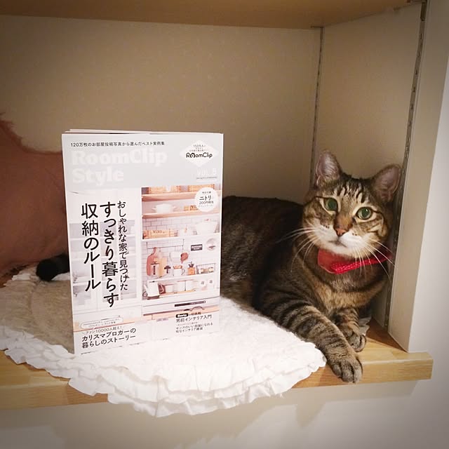 lovecatさんの実例写真