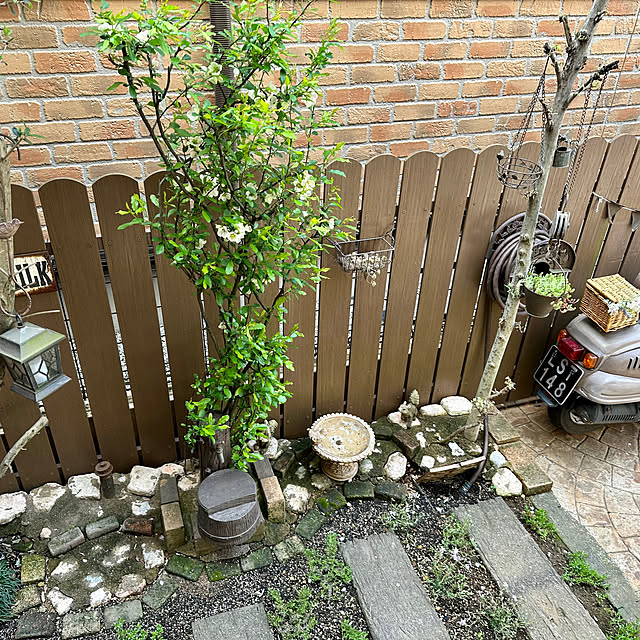 tabasaさんの実例写真