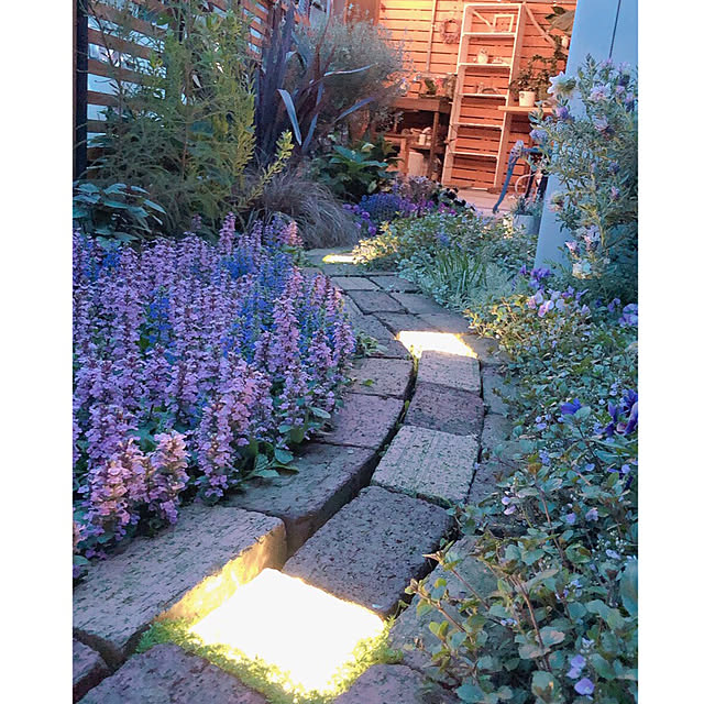 kyoko1124koさんの実例写真