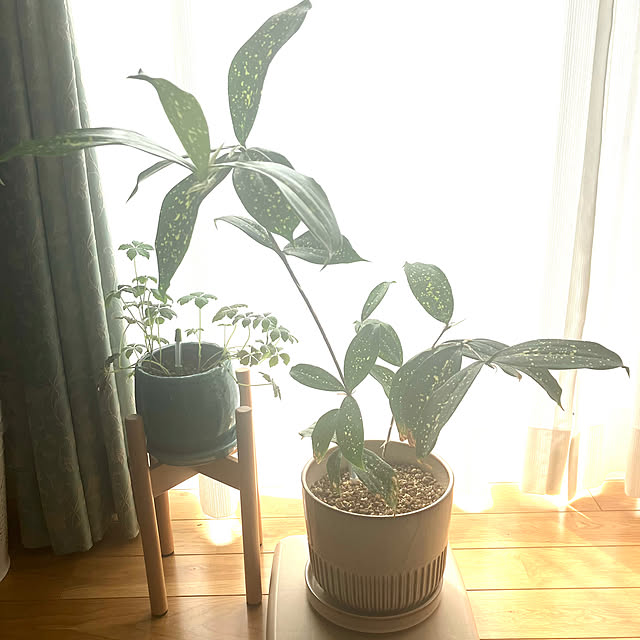 katuさんの部屋