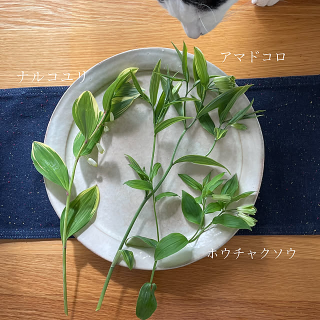 nobikoさんの部屋