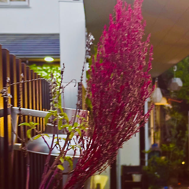 chacoさんの部屋