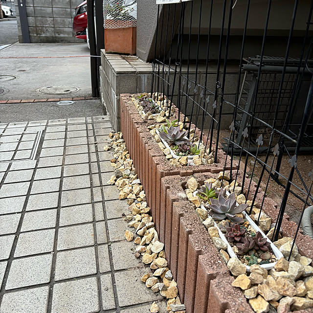 momocchiさんの実例写真