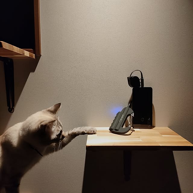 Atelier_tamakiさんの部屋