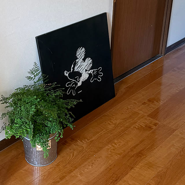 mizuyoさんの実例写真