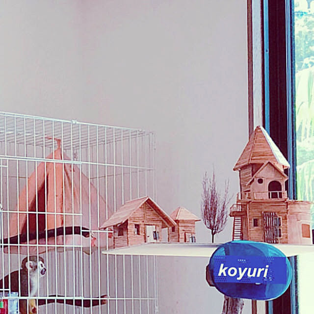 koyuriさんの実例写真