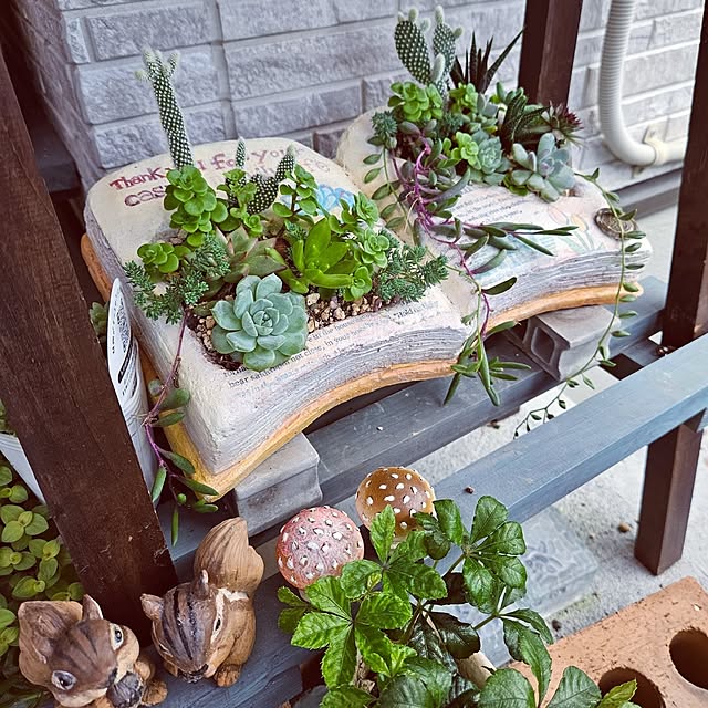 mocomocoさんの部屋