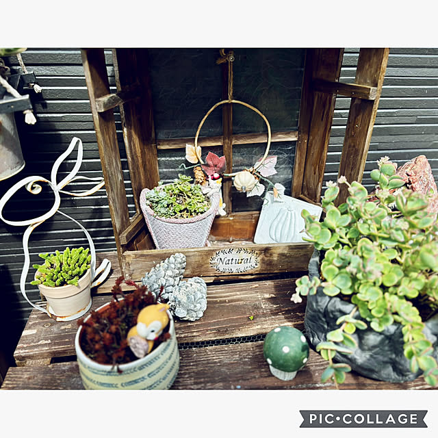 CoCo0617さんの部屋