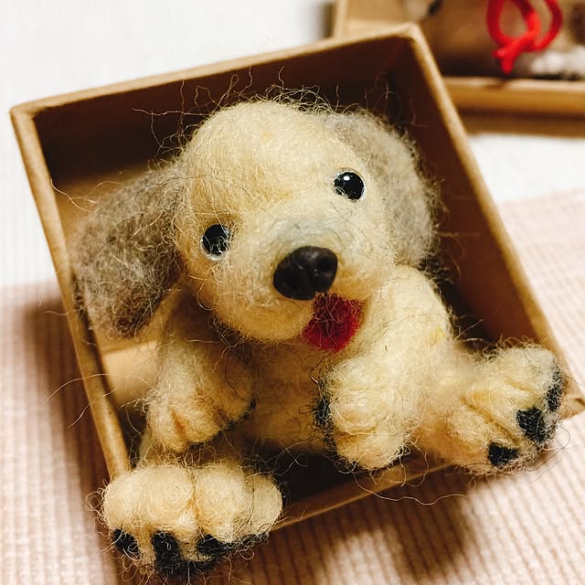 Kiyomiさんの実例写真