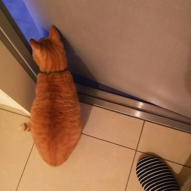mizoreさんの部屋