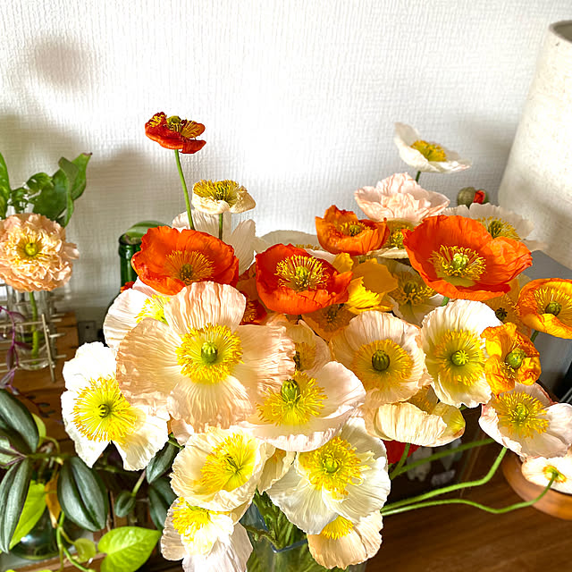 gurigura.tさんの実例写真