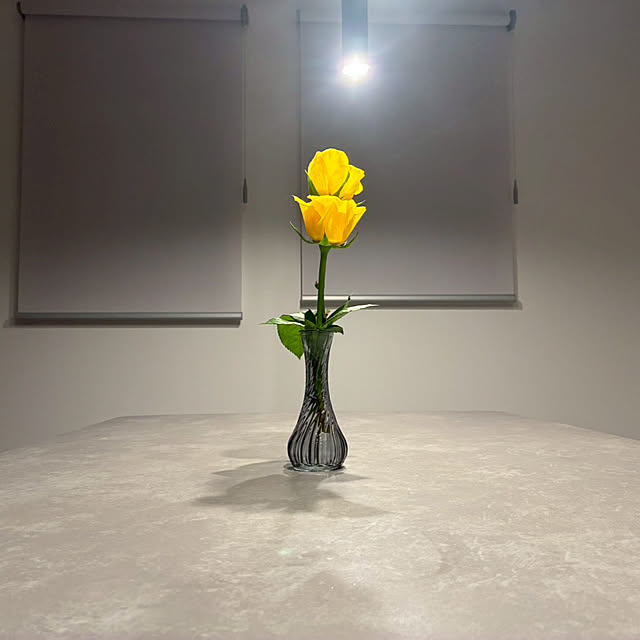 rigさんの実例写真