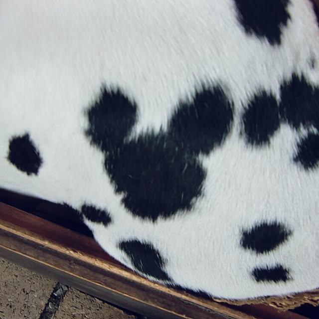 R-TYPEさんの実例写真