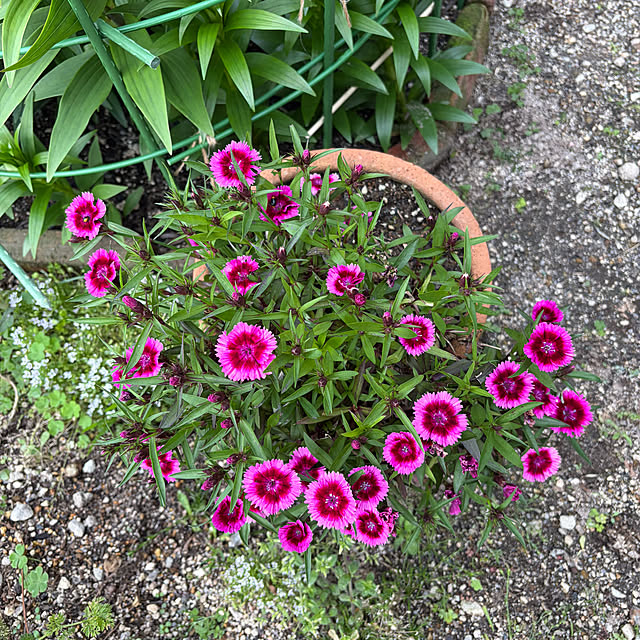 ritsukoさんの部屋