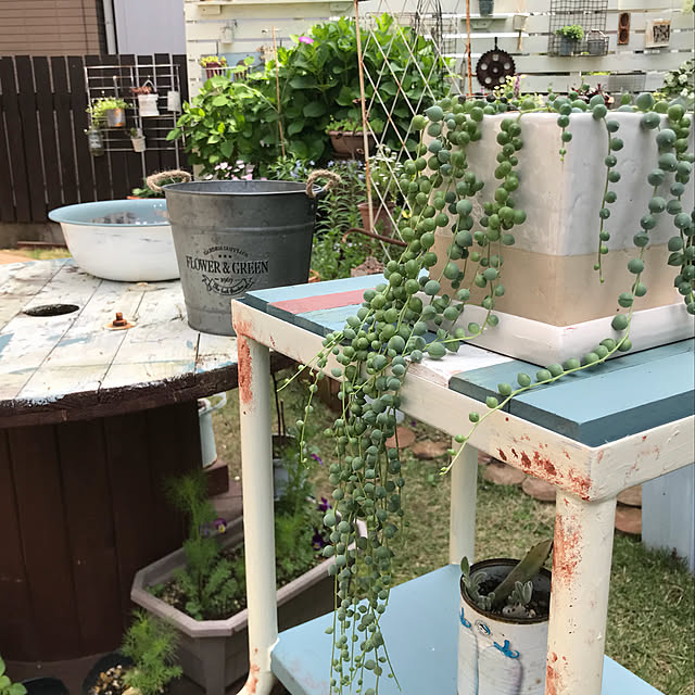 kokko3さんの実例写真