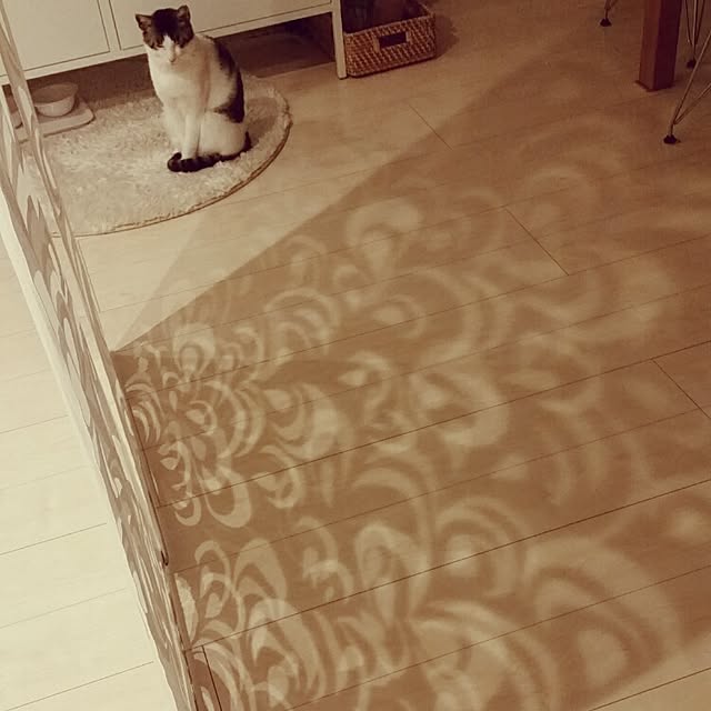 runayucoさんの実例写真