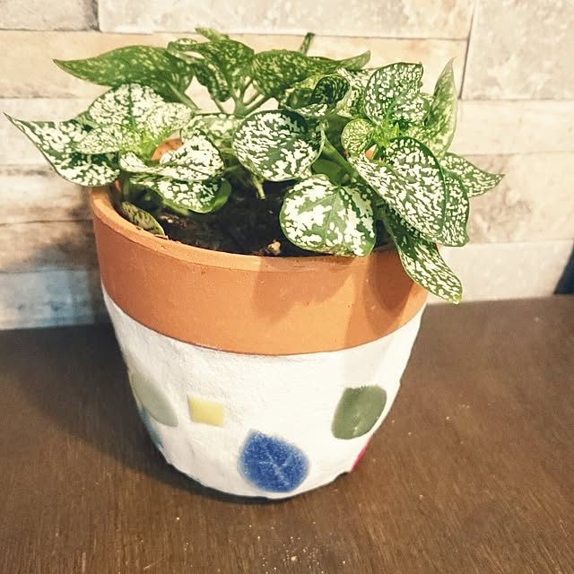 sunflowerさんの実例写真