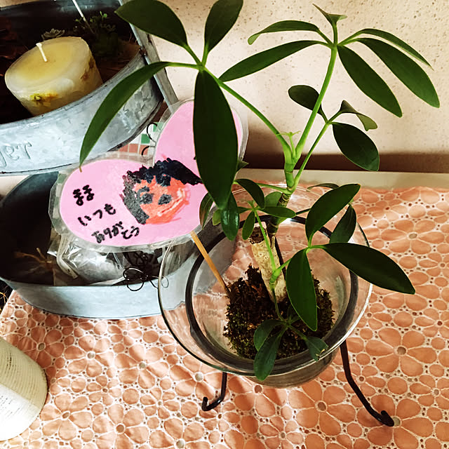 h_home.hさんの実例写真