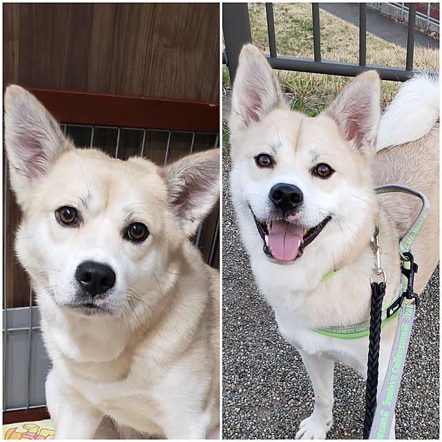 BAZさんの実例写真
