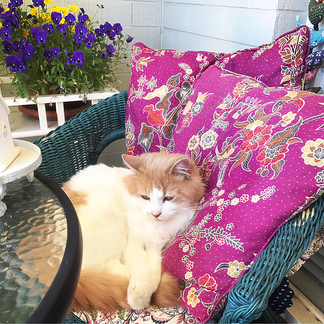 Spiceさんの実例写真